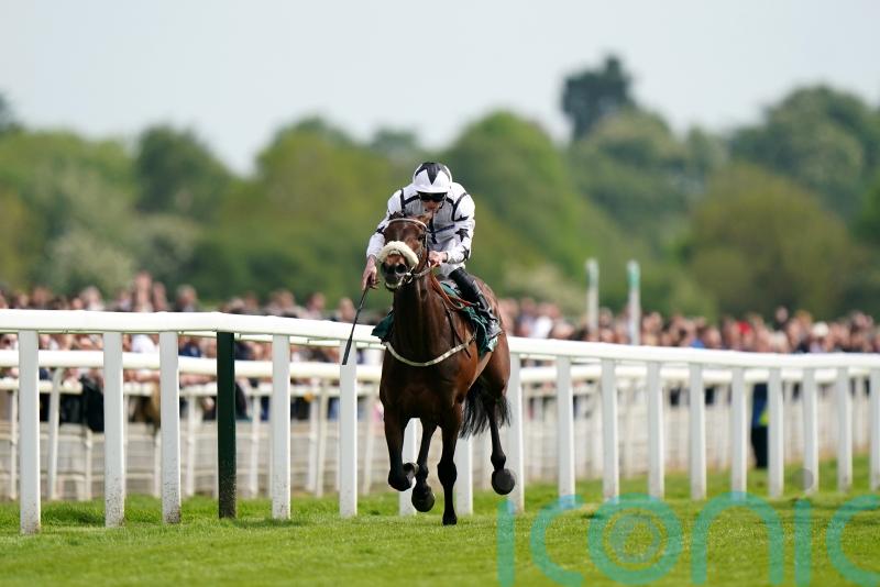 Al Qareem collects Further Flight honours at Nottingham