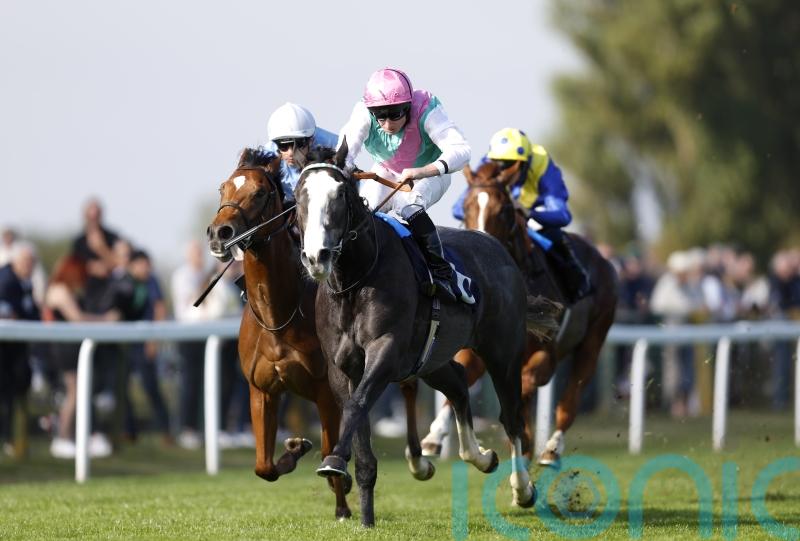 Nightwalker expected to relish stepping up in trip for Feilden