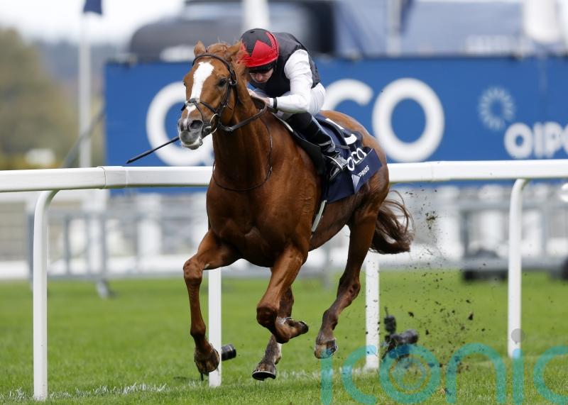 Arc tilt could be on the agenda for Kyprios this term