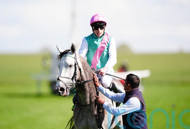 Field of dreams for power-packed Juddmonte operation