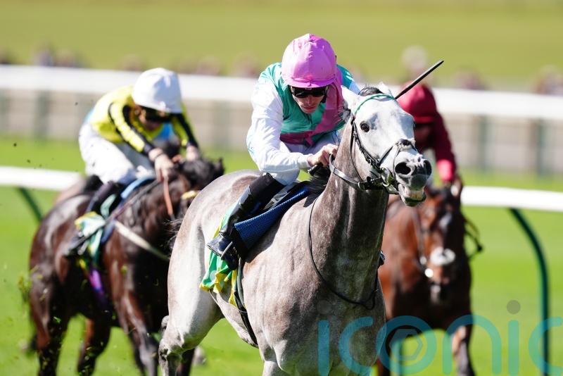 Field Of Gold and Twain among big guns still standing for Newmarket