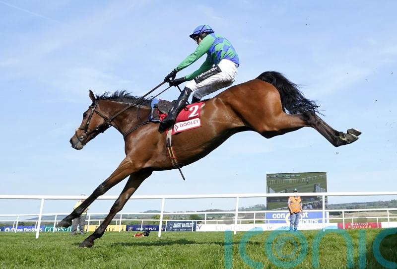 Champ Kiely tops Ballyburn for Grade One gold