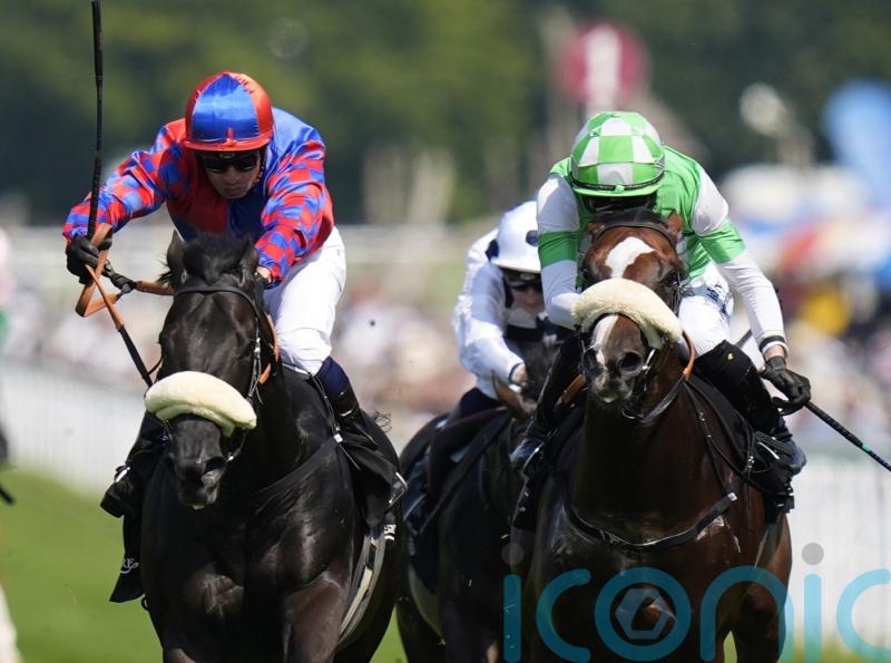 Big Mojo back with a bang at Ascot