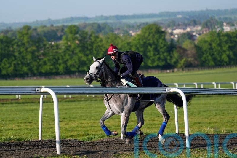 Field Of Gold can &lsquo;close the circle&rsquo;, says Gosden