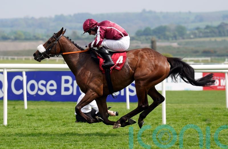 Sean Bowen carries on title celebrations at Punchestown