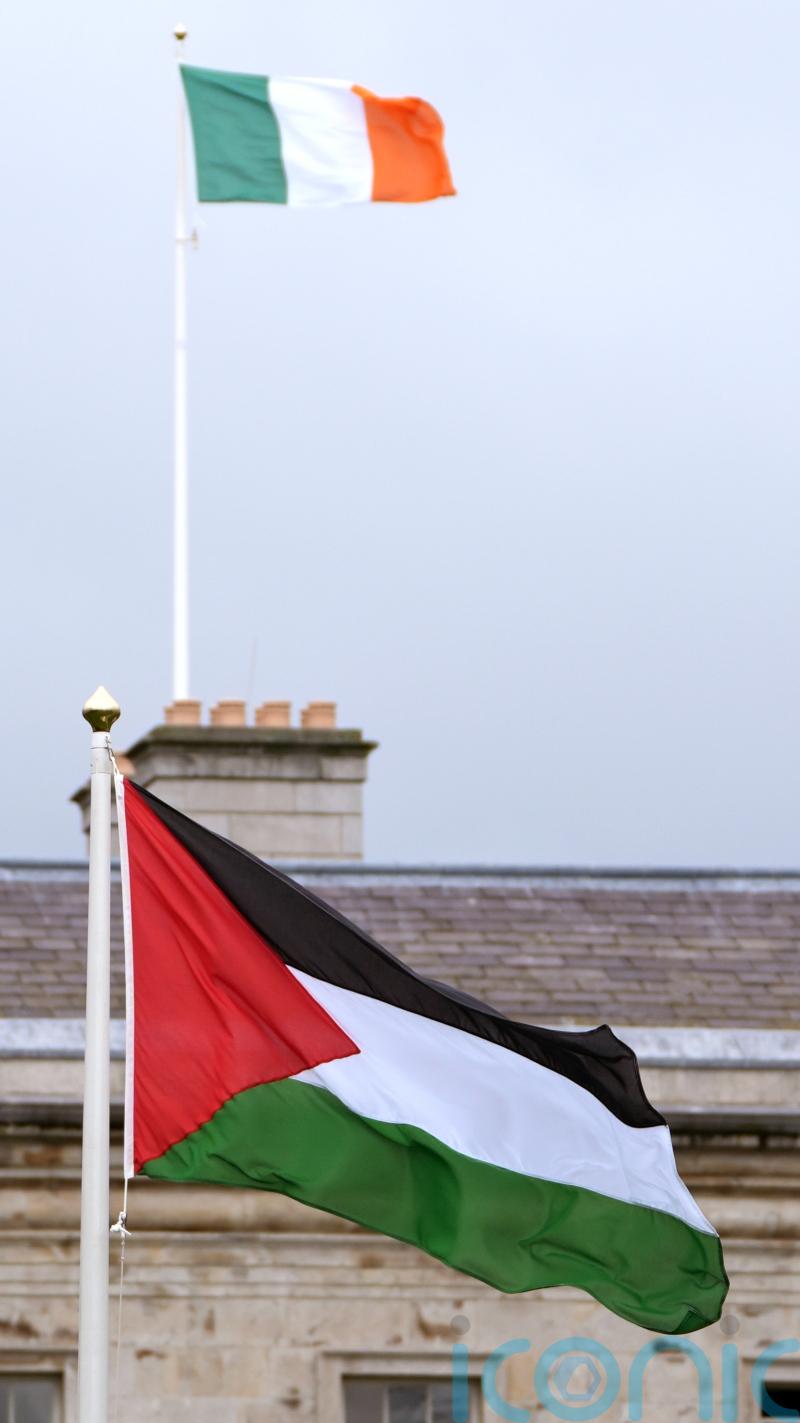 Pro-Palestine protesters breach perimeter at airport in Co Clare