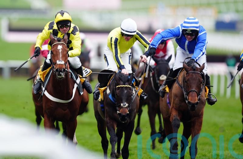 Poniros and Lulamba primed for Punchestown rematch