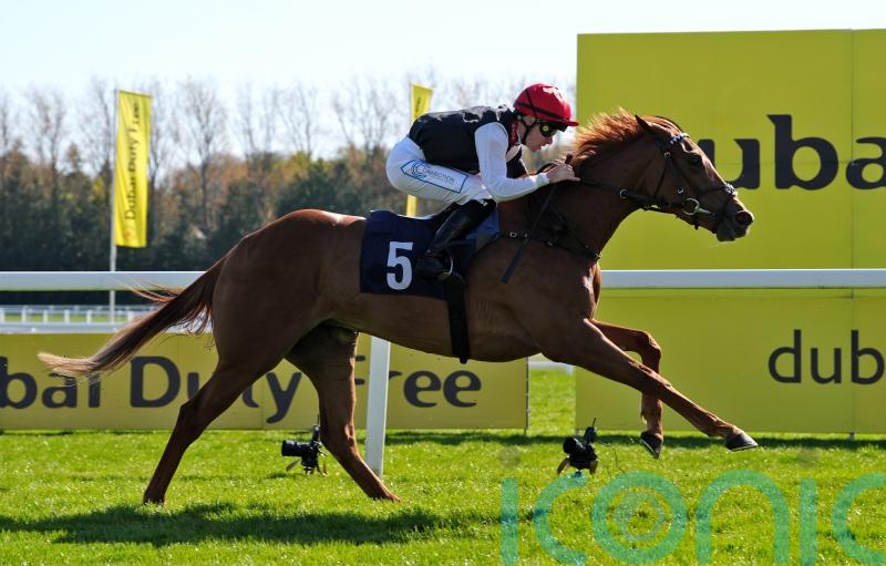 Oppenheimer hopes he has the Queen for Cheshire Oaks crown