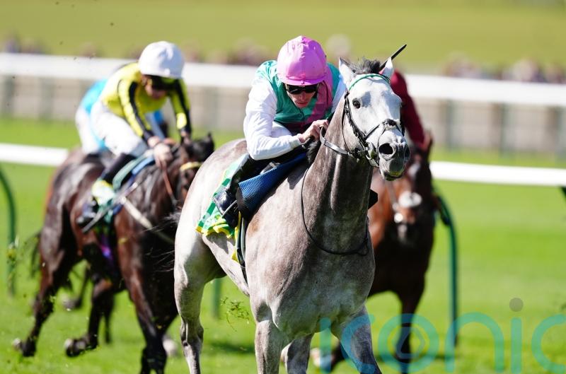 Juddmonte making plans on how to split three-year-old aces