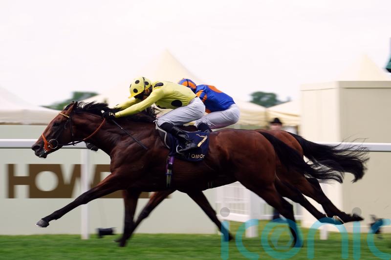 Rosallion returns in star-studded Lockinge