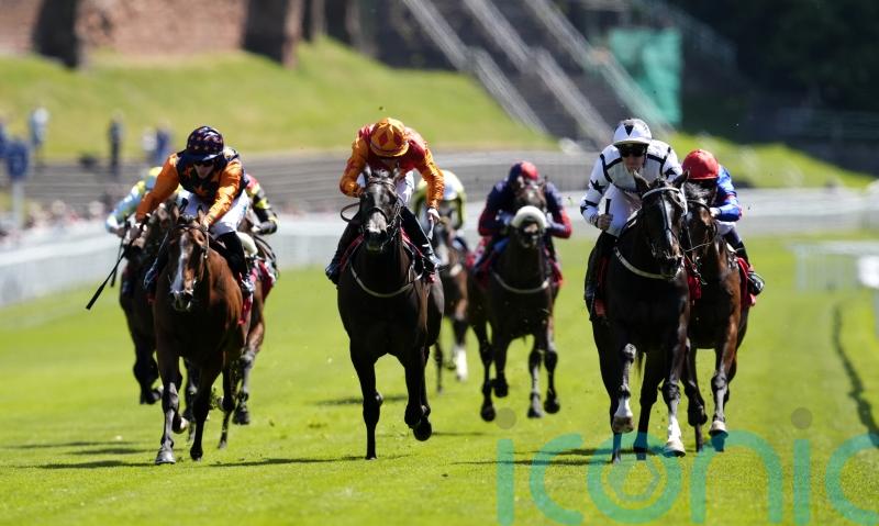 All eyes on Ali Shuffle in smart renewal of Hilary Needler