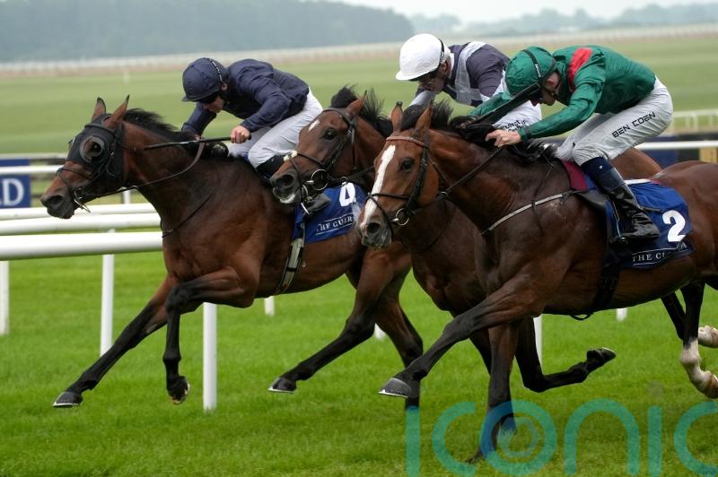 Thrice awarded Gallinule glory at the Curragh