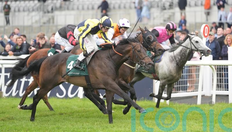 Delight for British raider with gutsy Greenlands victory