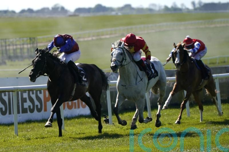 Keane backing White Birch for Tattersalls Gold Cup defence