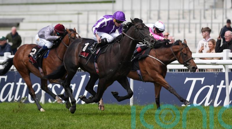 &lsquo;Very special&rsquo; Albert Einstein has all the answers at the Curragh