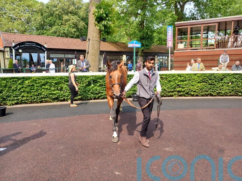 More to come from Haydock Eyecatcher Volterra