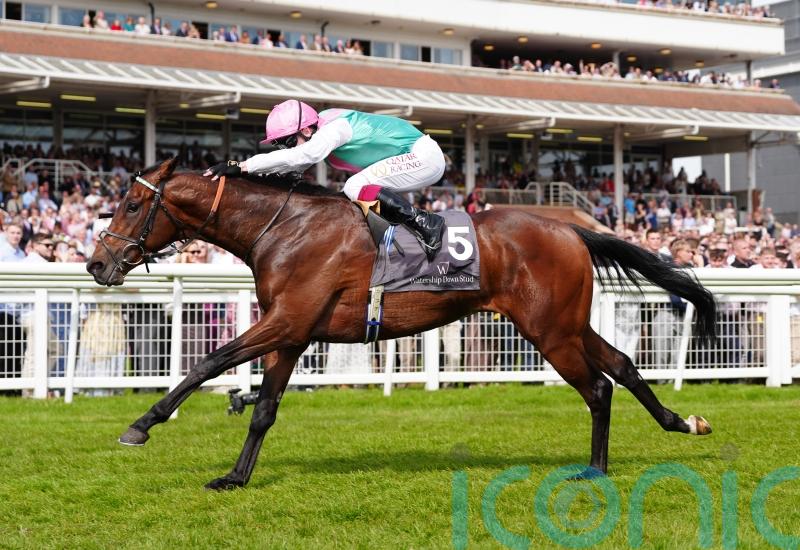 Balding contemplating Commonwealth challenge for Jonquil