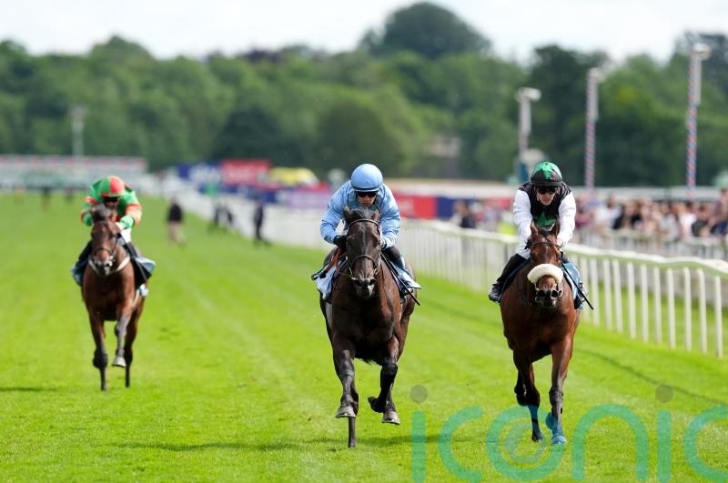 York Eyecatcher Rikki Tiki Tavi promises plenty