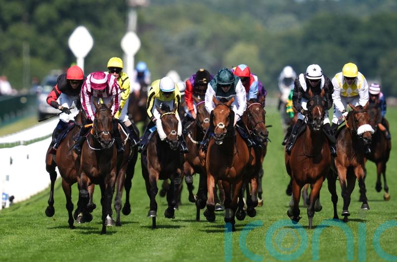 Ascot Eyecatcher Reaching High will get his day in the sun