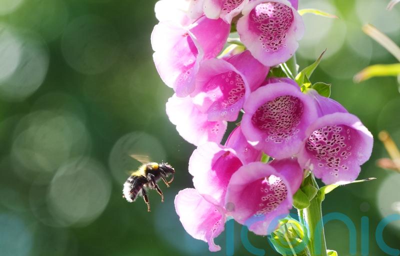 Funding awarded for project to improve air quality across island of Ireland