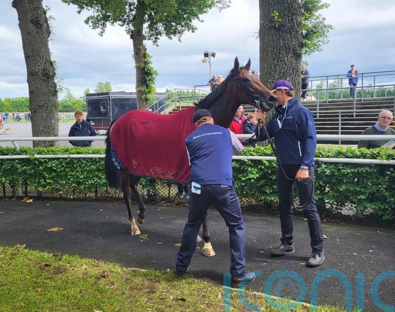 O&rsquo;Brien hoping Daytona can secure &lsquo;special&rsquo; Naas success