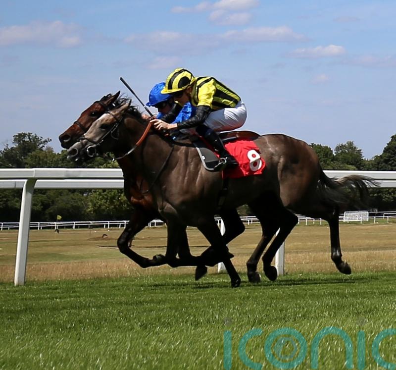 Staya swoops late for Dragon Stakes prize