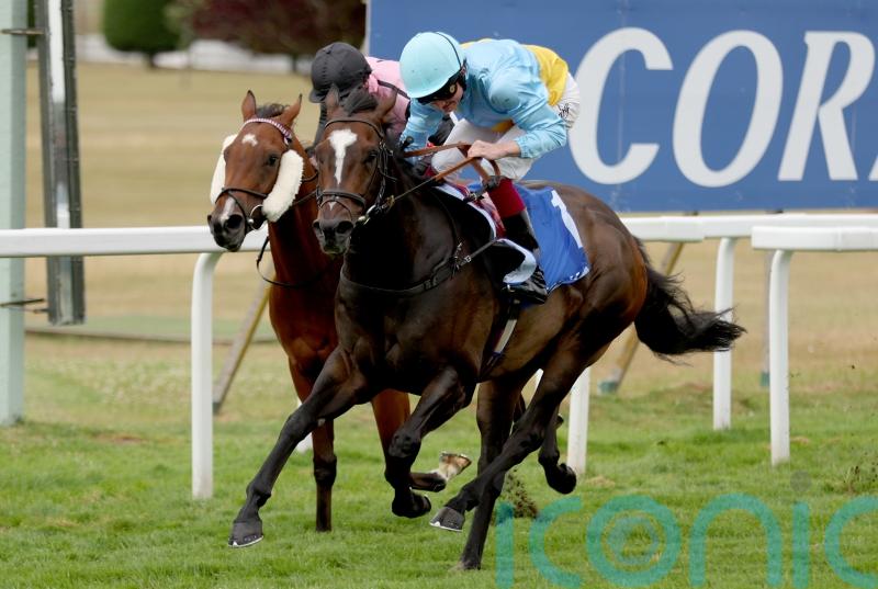 Rumstar leads Sandown Charge for Portman