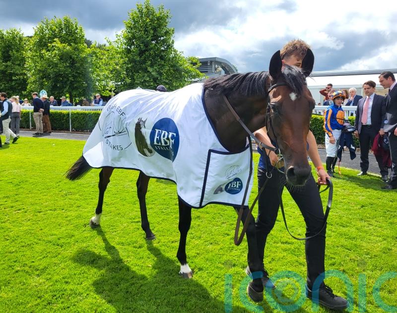 Daytona races to Smullen success at Naas