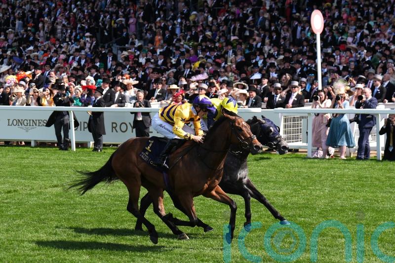 Goldie focusing on Breeders&rsquo; Cup date with American Affair