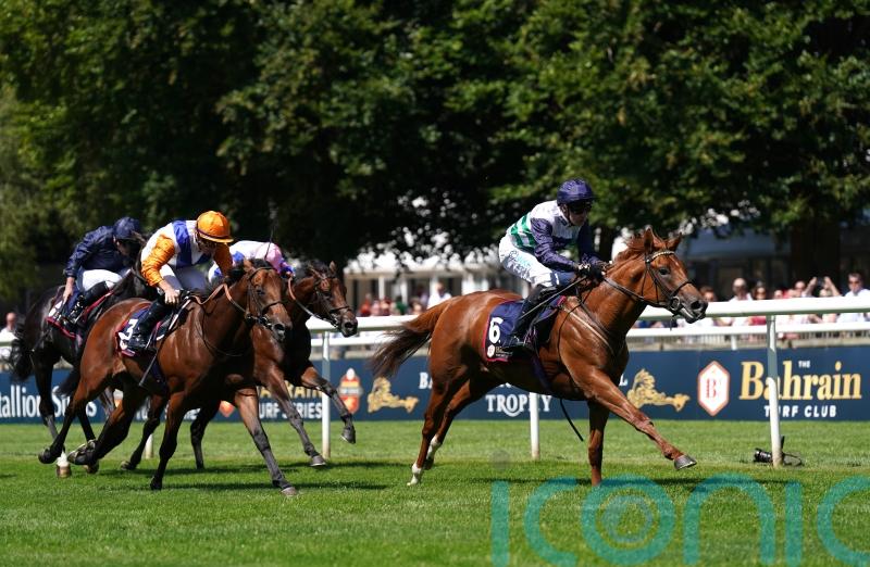 Johnson Houghton retaining plenty of options for Zavateri