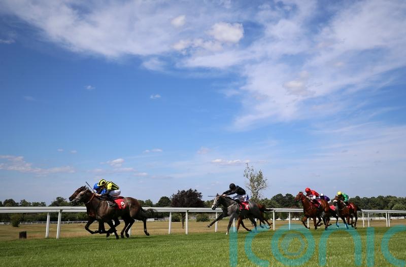 Scott confident Staya can go the distance at Ascot