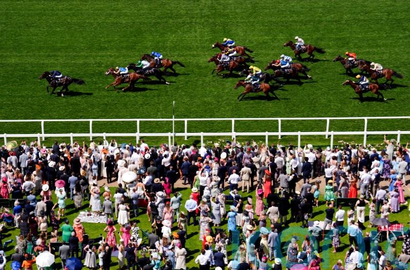 Ryan team expect Goodwood to suit Molecomb runner Ameeq