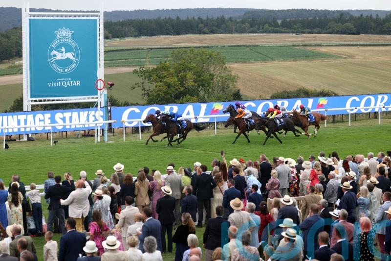 Morris Dancer one step shy of Vintage victory