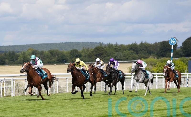 Gosdens lament Field Of Gold&rsquo;s lacklustre Sussex run