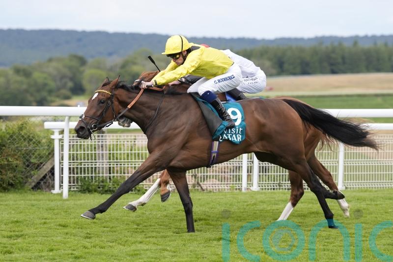 Waardah far from certain to go to York