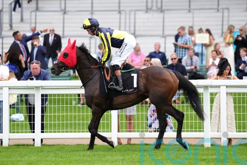 Spirit willing ally for Cox in search of Stonehenge prize