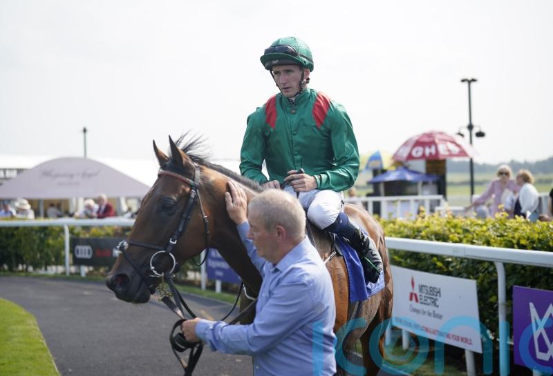 Zahrann advertises big-race credentials in Royal Whip