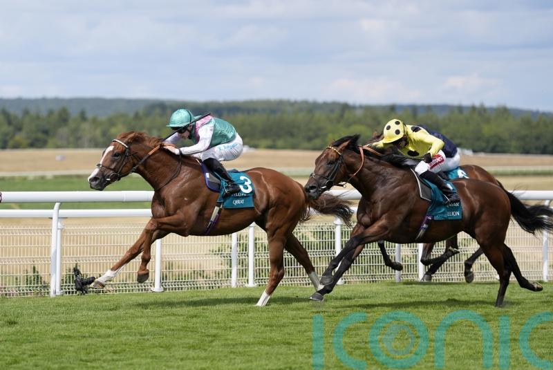 Qirat supplemented for Rosallion rematch at York