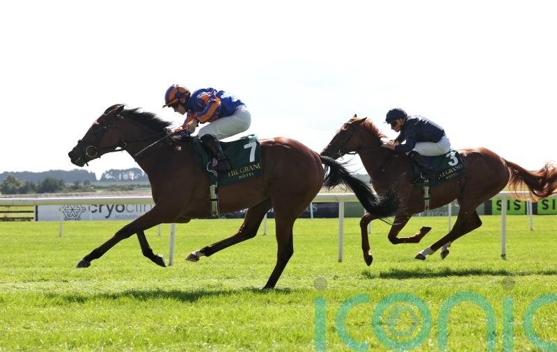 Diamond Necklace among high-class Prestige entry