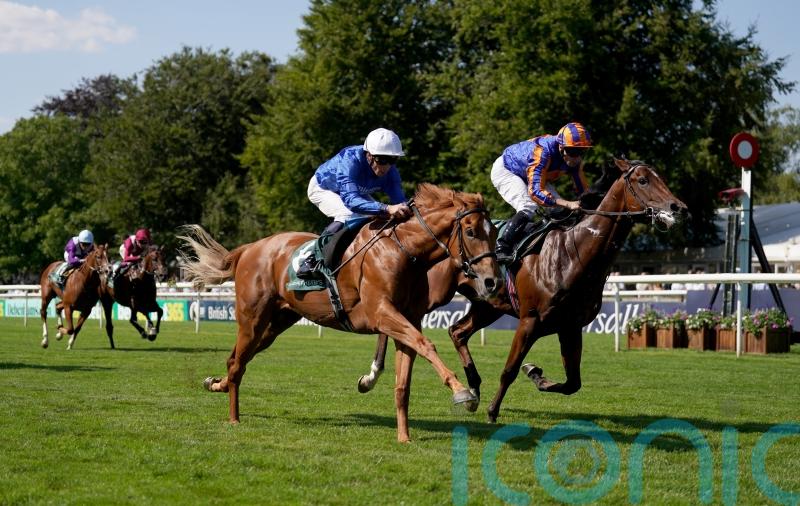 &lsquo;A big player&rsquo; &ndash; Distant Storm brewing in Acomb Stakes