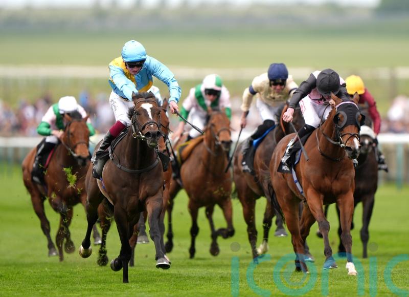 Jack Davison hoping for Group One breakthrough with She&rsquo;s Quality