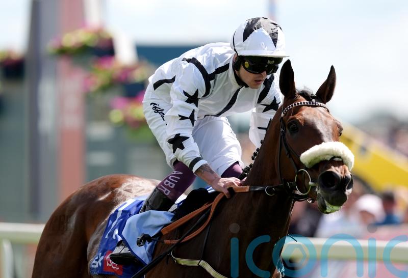 Al Qareem out for another York raid in the Lonsdale Cup