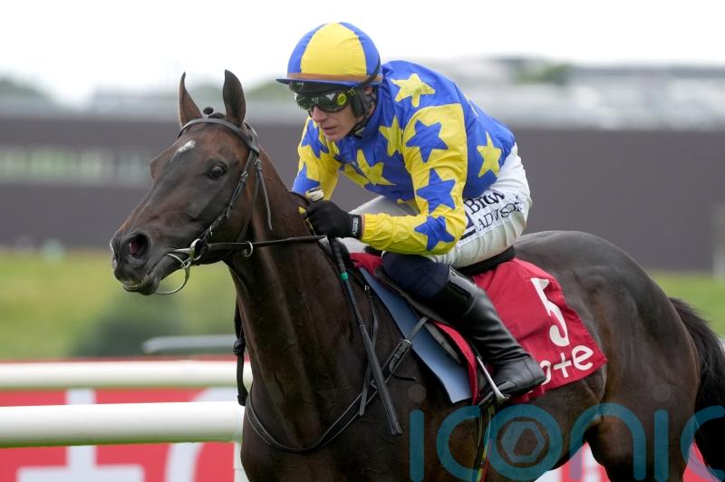 Hipop De Loire one of three Ebor chances for Willie Mullins