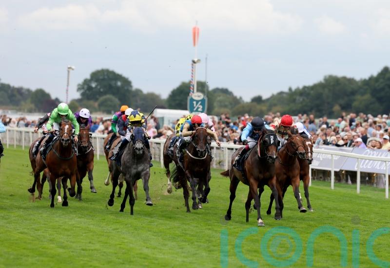 Ain&rsquo;t Nobody proves 100-1 odds wide of the mark with brave Nunthorpe effort