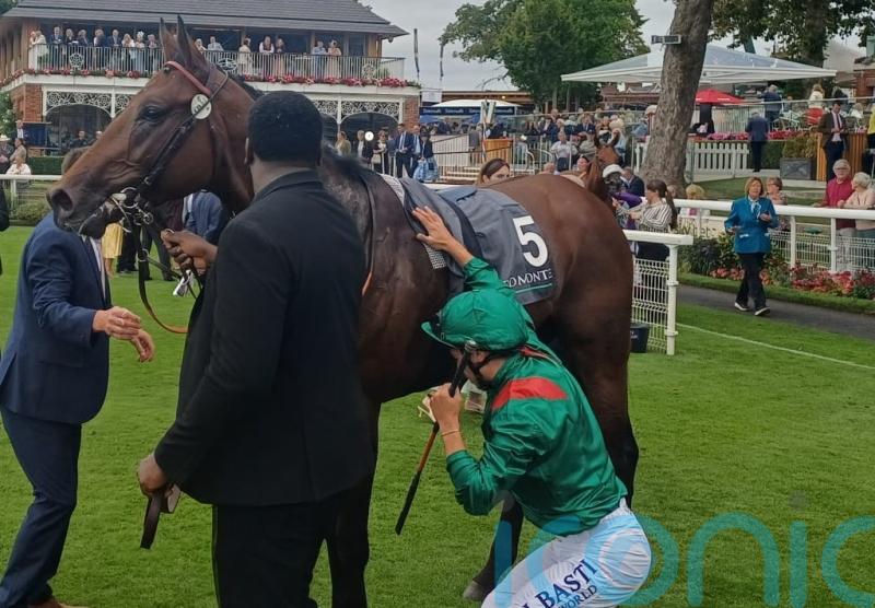 Daryz defeat has left connections with decisions to make