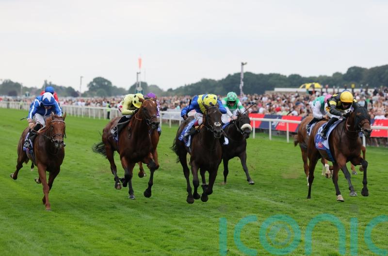 Lake Forest likely to head back to Australia