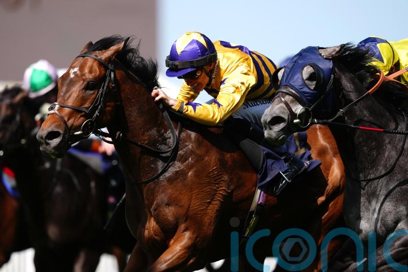 American Affair ruled out of Champions Day outing