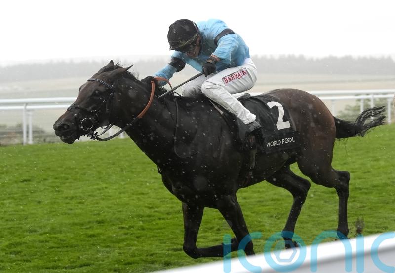 William Haggas &lsquo;gutted&rsquo; as setback scuppers Merchant&rsquo;s Arc hopes