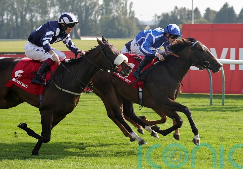 Sky Majesty the Haydock hope for William Haggas in Saturday&rsquo;s Sprint Cup