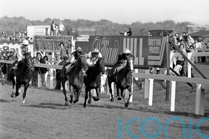 Steve Cauthen recalls Triple Crown glory on Oh So Sharp